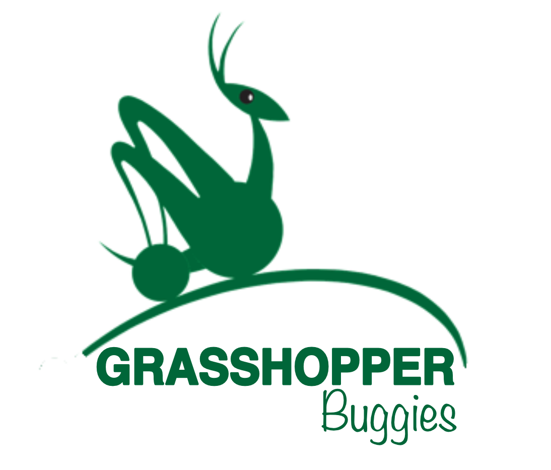 Grasshopperbuggies 